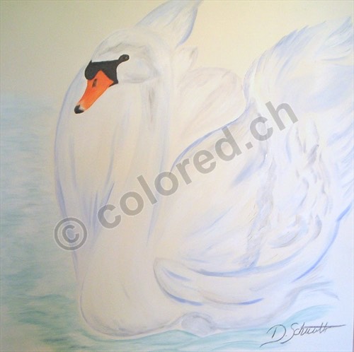 0001 - Schwan