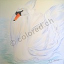 0001 - Schwan