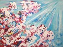 0009 - Kirschblüte