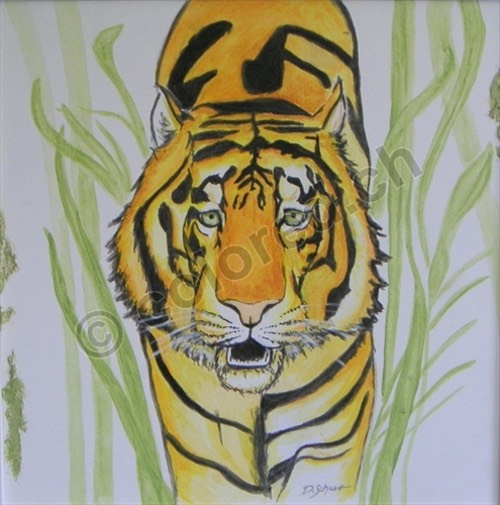 0037 - Tiger