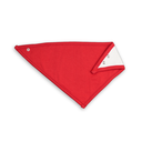 2015-12-07 Halstuch rot